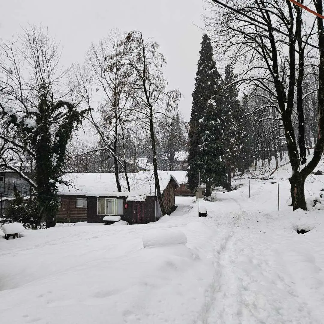Сочи: Дом в горах Красная поляна, Романовский хутор