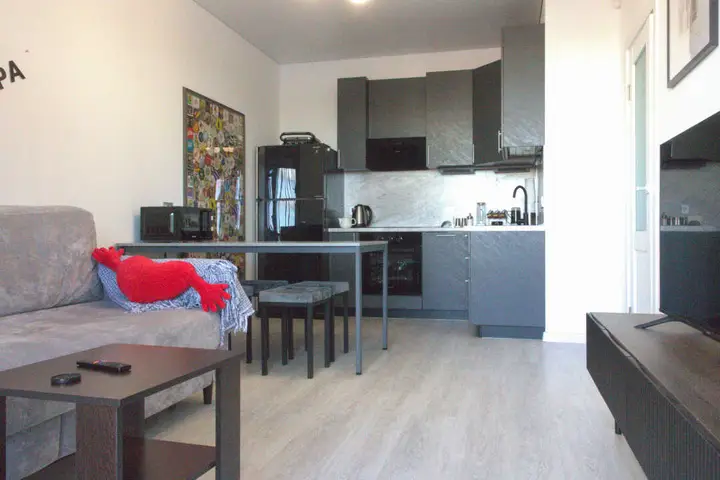 Москва: Апартаменты Flat Inn с видом на Неву в ЖК Astra Marine