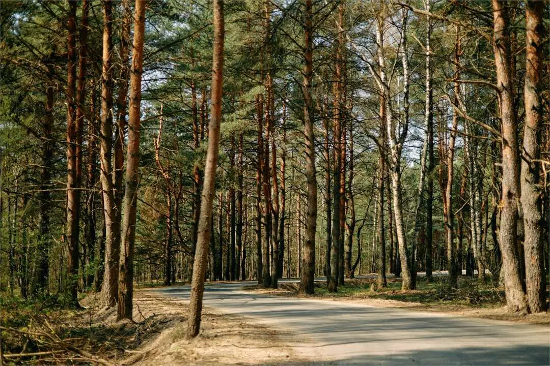 деревня Турыгино: Бутик-отель "Поле"