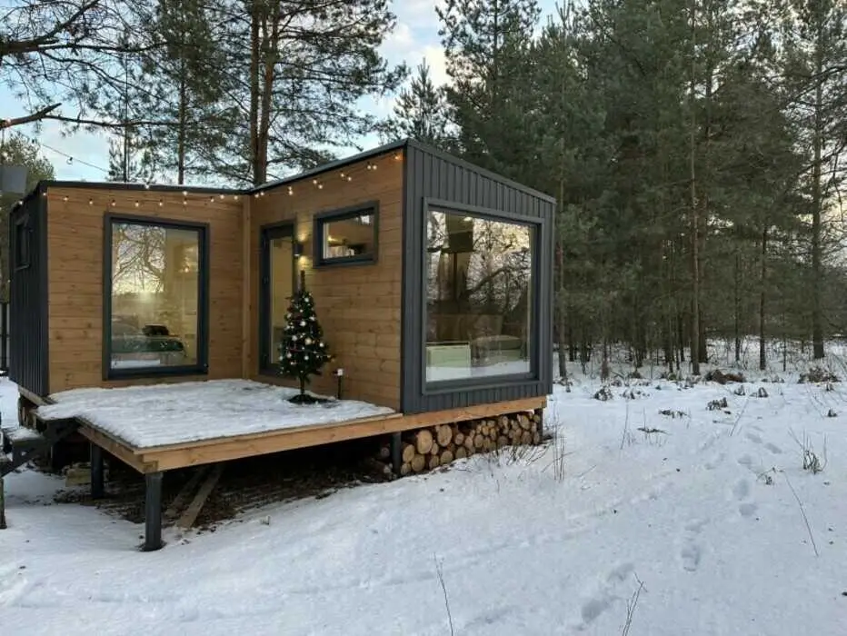 Дом "Скандинавия Лес" в современном стиле — фото 1