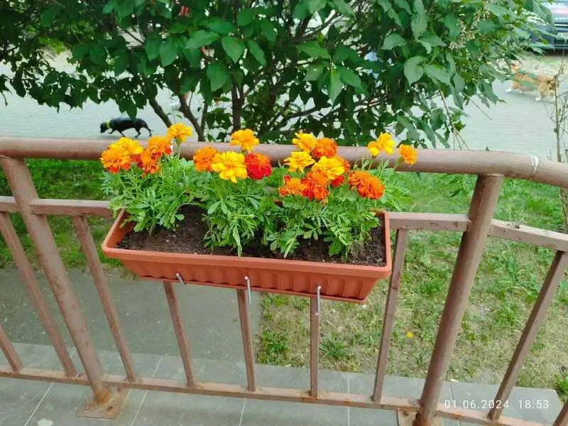 Москва: Мини-отель "Шокотель"