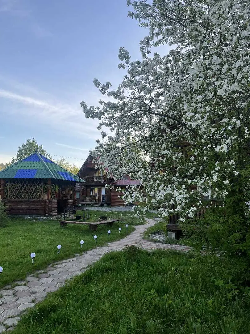 Черемшанка: Деревенька Алтая