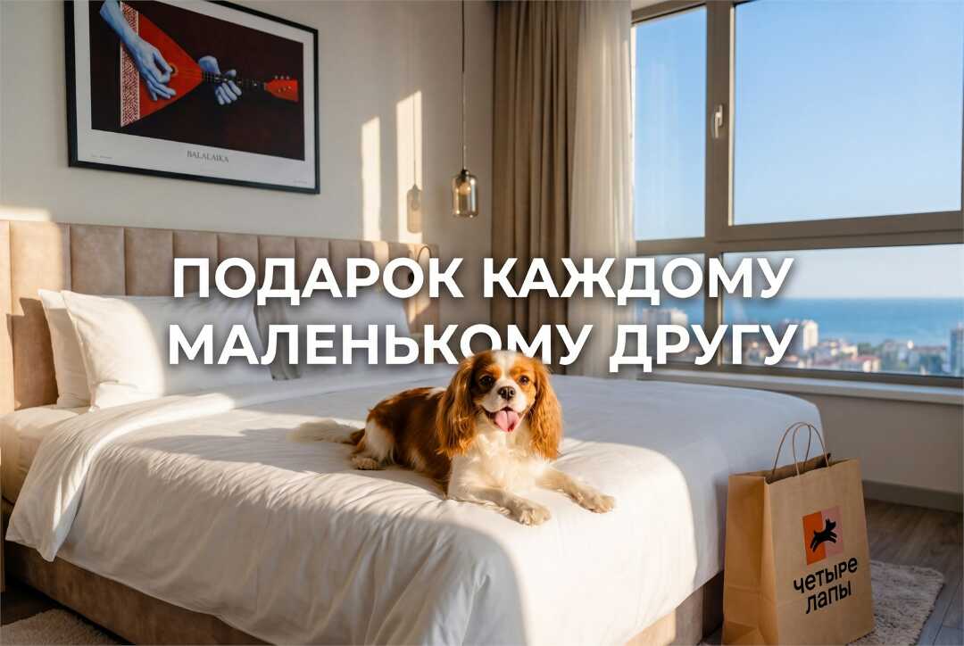 Сочи: Парк-Отель "Azimut"
