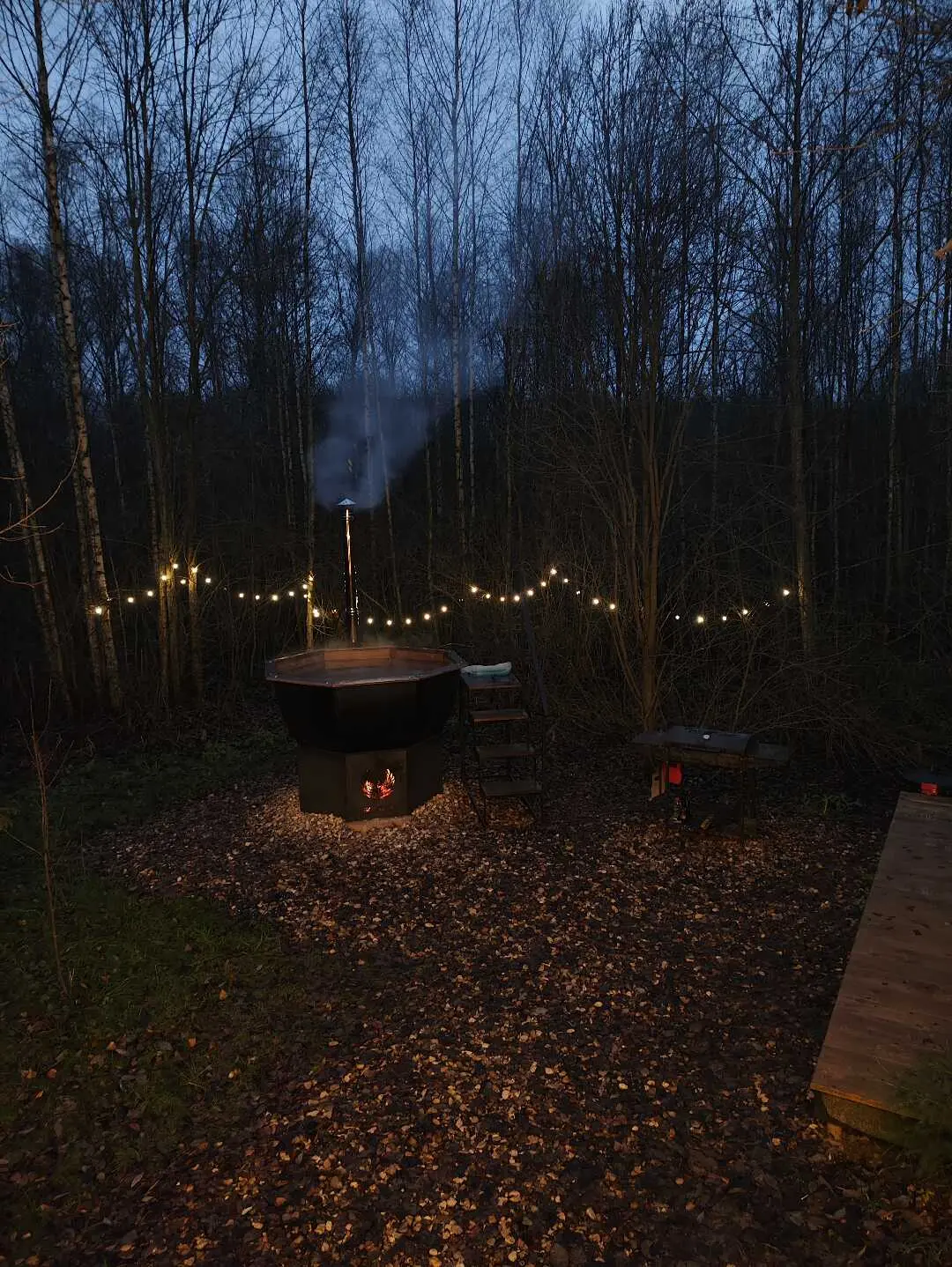 Красная Новь: Загородный дом A-frame "Красная Новь"