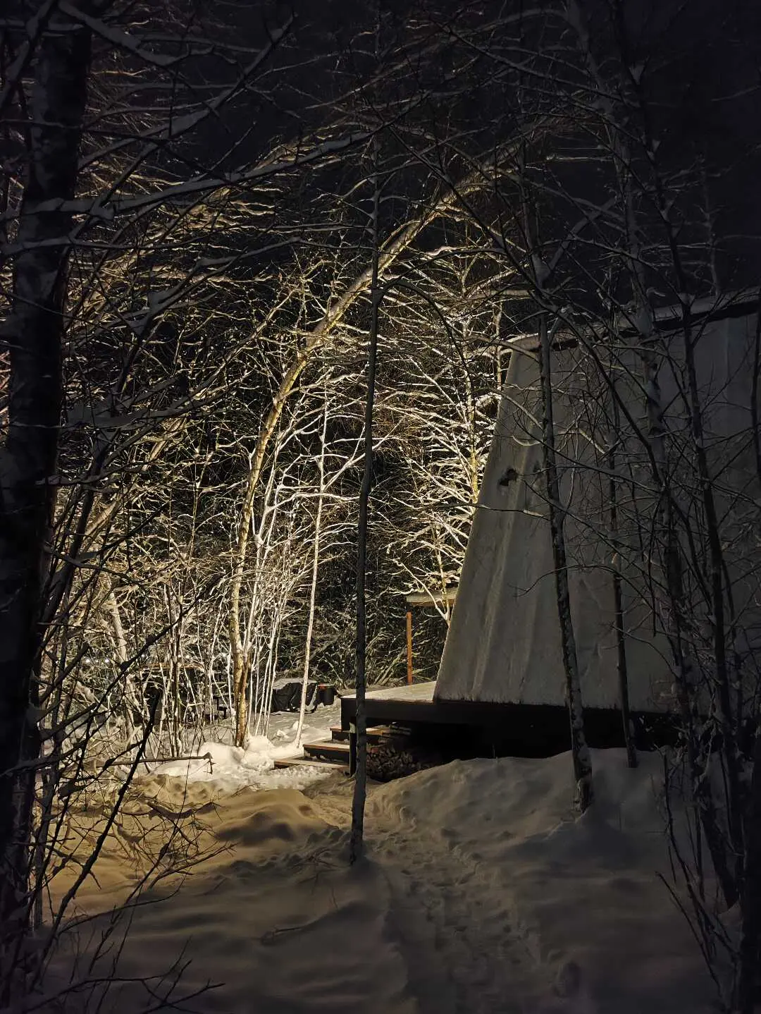 Красная Новь: Загородный дом A-frame "Красная Новь"
