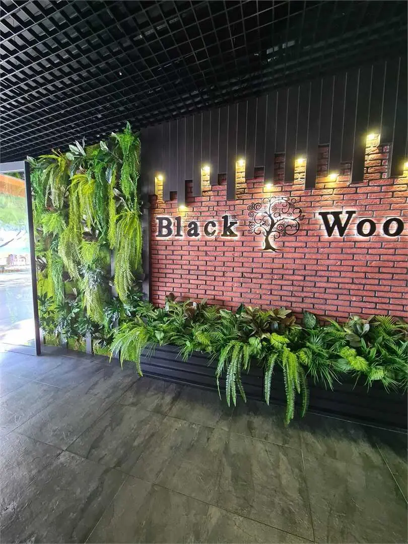 Геленджик: Гостевой дом "Black Wood"