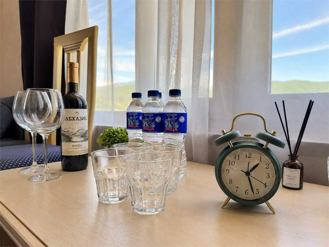 Гагрский район, пос. Цандрипш: Резиденция Апсны