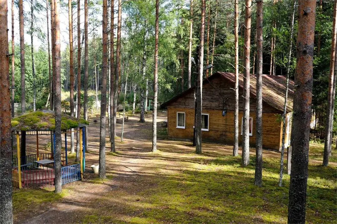 Ленинградская область, Лужский район, дер. Новые Крупели: База отдыха "Аннушка"